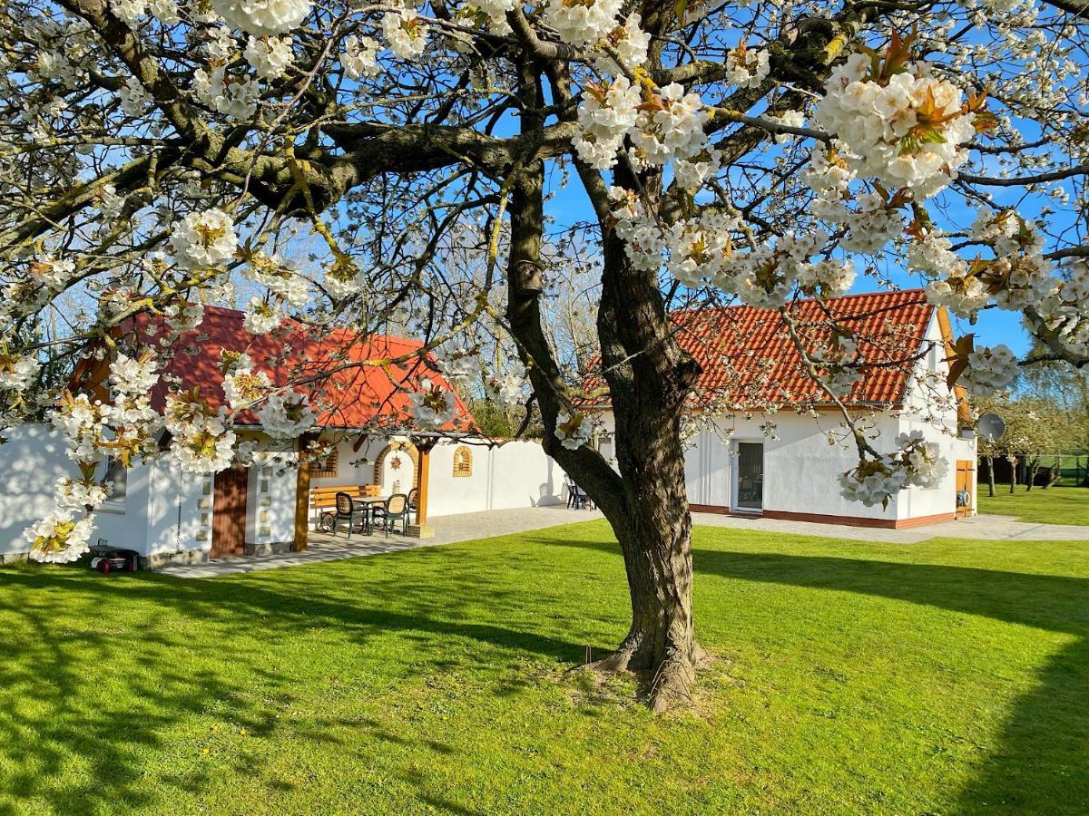 Ferienhaus Berta Sassnitz Esterno foto